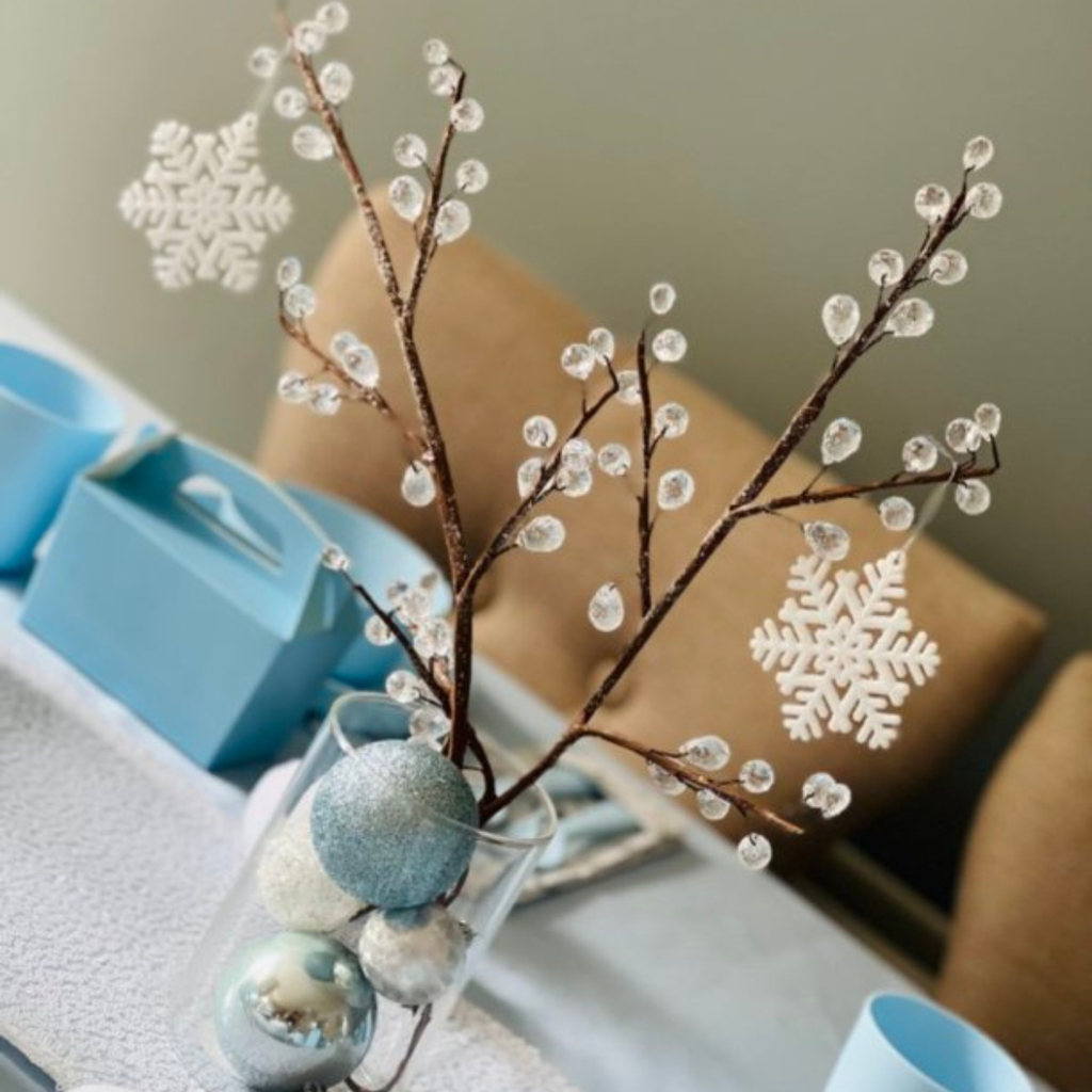 Winter Wonderland Party in a Box